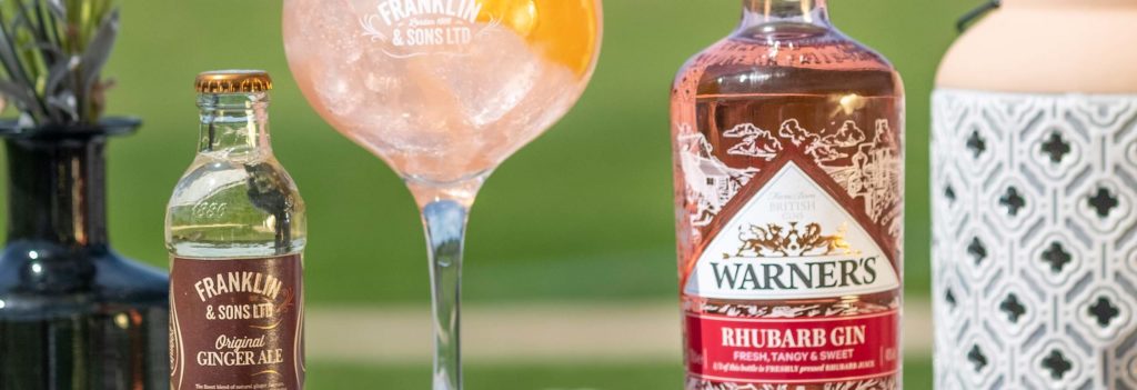 Rhubarb gin cocktail with Warner's gin and ginger ale